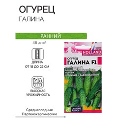 Семена огурца "Галина", F1, 5 шт.