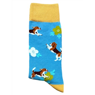 Носки р.35-40 "Dogs" Бигль