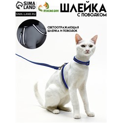 Комплект для кошек светоотражающий,ширина 1 см,шлейка 21-35 см,поводок 120 см, синий