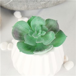 Суккулент искусственный 5,5х6,5 см / GN112 /уп 100/