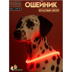 Ошейник - кольцо с подсветкой, зарядка от USB, до 70 см, 3 режима свечения, красный