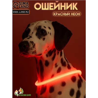 Ошейник - кольцо с подсветкой, зарядка от USB, до 70 см, 3 режима свечения, красный