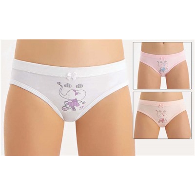 5430 Трусы для девочек многоцвет (BAYKAR)