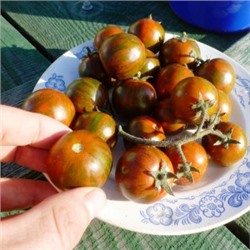 Помидоры — Black Zebra Cherry — Черри Черная Зебра (10 семян)