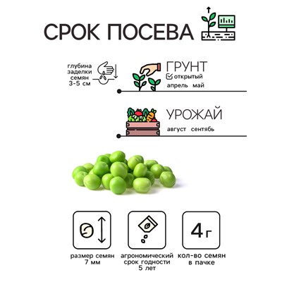 Семена Горох "Динга", 4 г