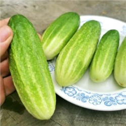 Огурцы Старые Немецкие (10 семян)