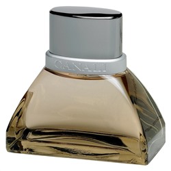 CANALI edt (m) 50ml TESTER металл