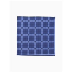 Платки носовые мужские «Этель», 30×30 см, набор 12 шт., 100% хлопок, синие, рисунок МИКС
