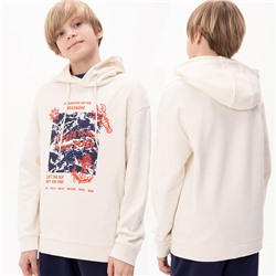 BFNK3371 толстовка для мальчиков (1 шт в кор.)