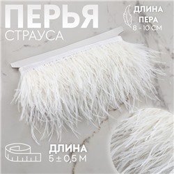Тесьма с перьями страуса, 8-10 см, 5±0.5 м, белая