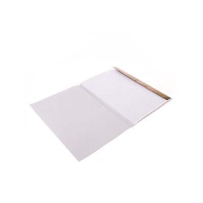 Набор бумаги для акварели А3, 10 листов «Архитектура», блок 200 г/м², рисовальная