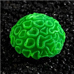 Декор для аквариума коралл Faviidae, 5×2.5 см, силиконовый, зелёный