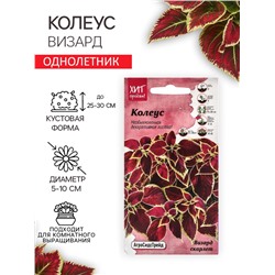 Семена Цветов Колеус "Визард", 10 шт