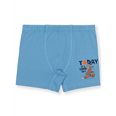 3526 Боксеры для мальчика многоцвет (BAYKAR)