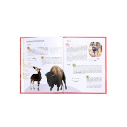 Детская энциклопедия «Красная книга», 48 стр. 7+