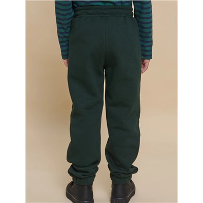 PELICAN Брюки BFPQ3362