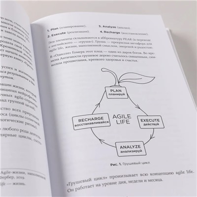 Книга Agile life. Катерина Ленгольд