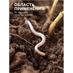 Средство от болезней растений «Флагрин-Д» (Нематодин), 100 г