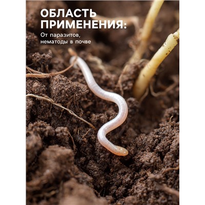 Средство от болезней растений "Флагрин-Д" (Нематодин), 100 г