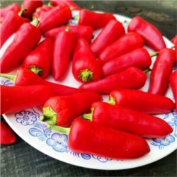 Корнишонный Перчик Сладкие Пикули — Sweet Pickle Peppers (10 семян)