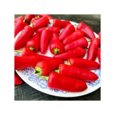 Корнишонный Перчик Сладкие Пикули — Sweet Pickle Peppers (10 семян)
