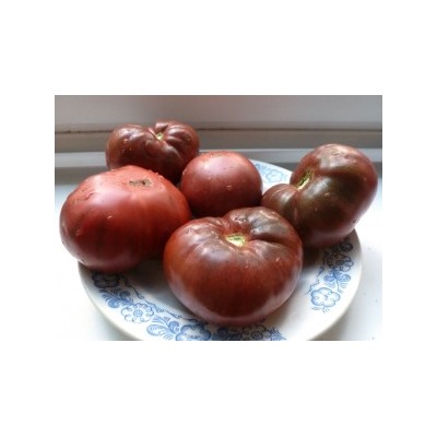 Помидоры — Early Cherokee Purple (10 семян)