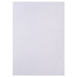 Набор 5 листов ватман, чертежный, А0, 840×1189, 200 г/м²