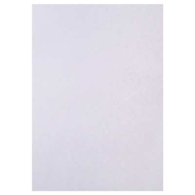 Набор 5 листов ватман, чертежный, А0, 840×1189, 200 г/м²