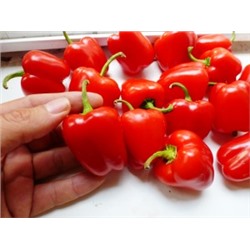 Перец Сладкий Mini Bell Red — Мини Белл Красный (10 семян)