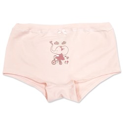 5432 Трусы шорты для девочек многоцвет (BAYKAR)