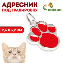 Адресник фигурный под гравировку «Лапа», 2.6×3.2 см, микс