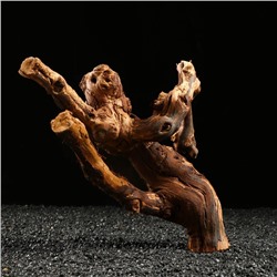 Коряга для аквариума «Лоза виноградная», 30 - 40 см