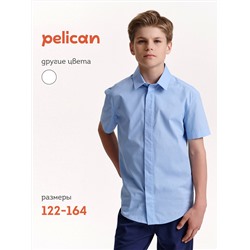 PELICAN Сорочка