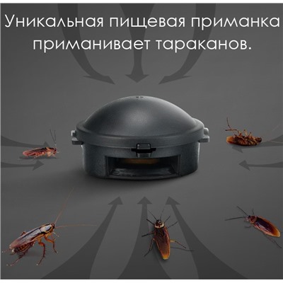 Ловушки от тараканов 6 штук.