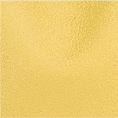 DOLAND LION  Сумка женская / кожа / 1638