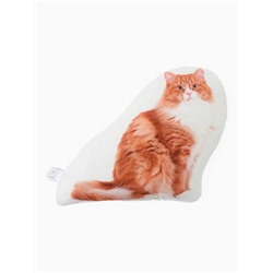 Подушка декоративная «Этель» Ginger cat, 40×33 см, велюр