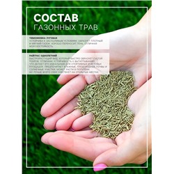 Семена газонной травы БЫСТРЫЙ, 1  кг   2277556