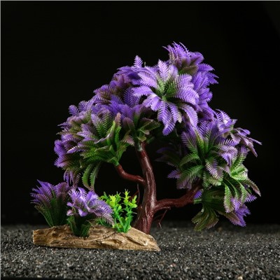 Растение для аквариума и террариума, 11×21 см