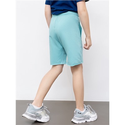 231133 MARK FORMELLE Шорты