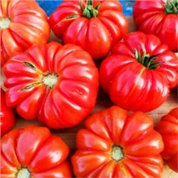 Помидоры Марманд от Мадам Гарньер из Парижа — MARMANDE GARNIER Tomatoes (10 семян)