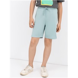 243808 MARK FORMELLE Шорты