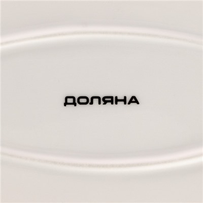 Блюдо Доляна «Млечный путь», 29.5×17.5 см, фарфор, белая в крапинку