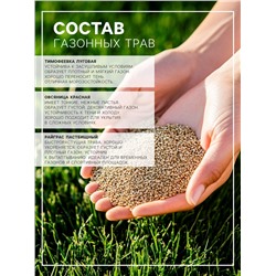 Газонная травосмесь«Красотень», Спринтер, 0.5 кг