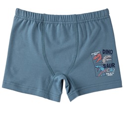 3388 Боксеры для мальчика многоцвет (BAYKAR)