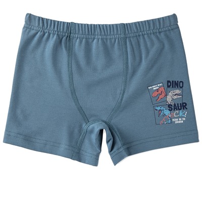 3388 Боксеры для мальчика многоцвет (BAYKAR)