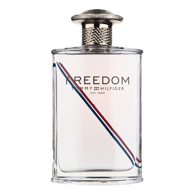 TOMMY HILFIGER FREEDOM edt (m) 100ml TESTER
