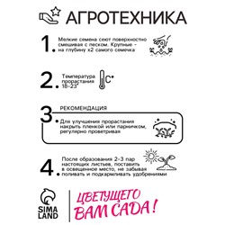 Семена  Петуния мини "Малыш" F1 многоцветковая,смесь окрасок, 7 шт