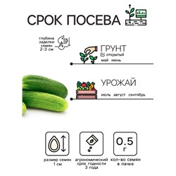 Семена Огурец «Феникс», пчелоопыляемый, среднеспелый, 0.5 г