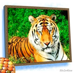 Алмазная мозаика на подрамнике 40x50 / YSG1851 /уп 30/