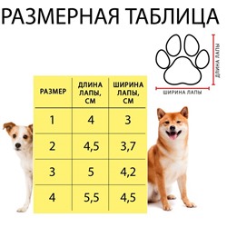 Ботинки Элеганс, набор 4 шт., размер 3 (подошва 5×4.2 см) коричневые